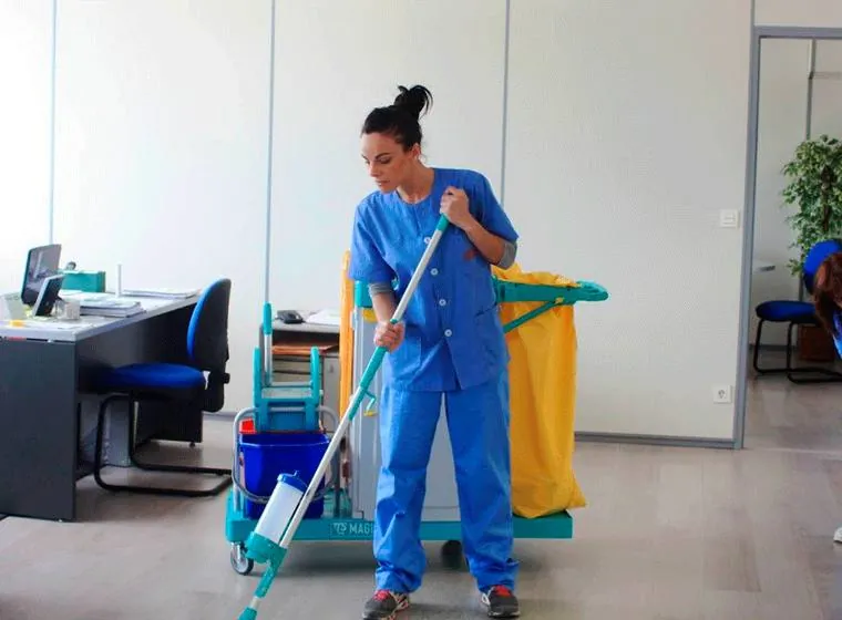 Sammy Cleaning work photo 2