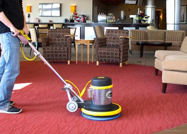 Carpet & Rug